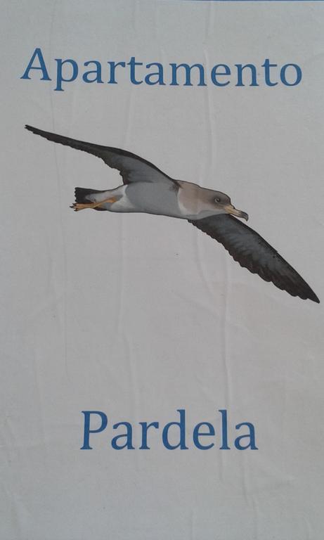 Apartamento Pardela Costa Adeje  Eksteriør billede