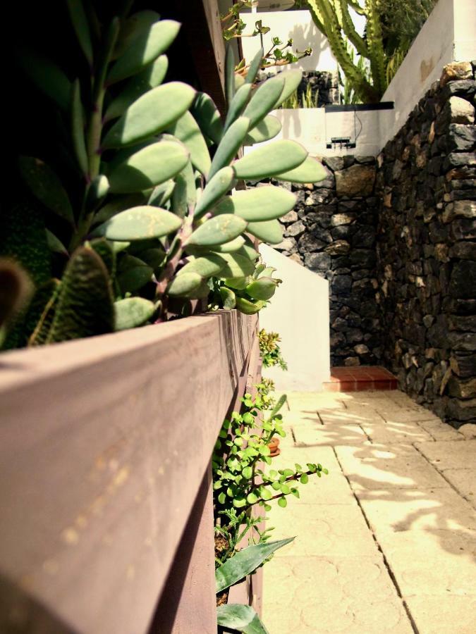 Apartamento Pardela Costa Adeje  Eksteriør billede